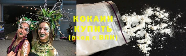 твердый Медногорск