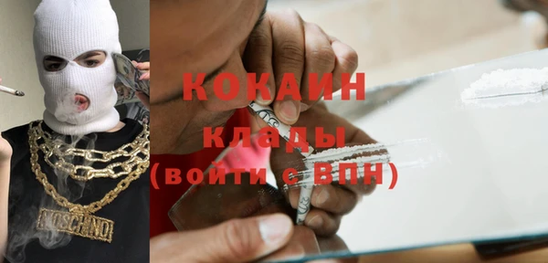 шишки Ленинск
