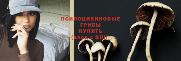 прущая мука Медвежьегорск