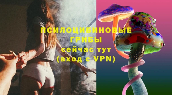шишки Ленинск