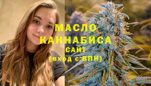 шишки Ленинск
