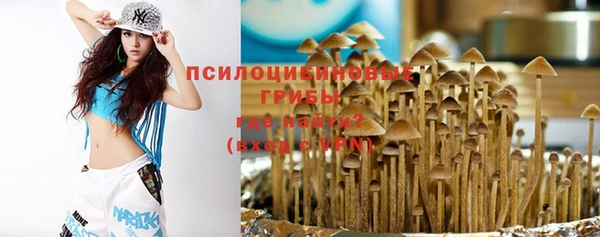 гашик Ленск
