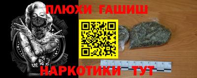 молекула духа Жуковский
