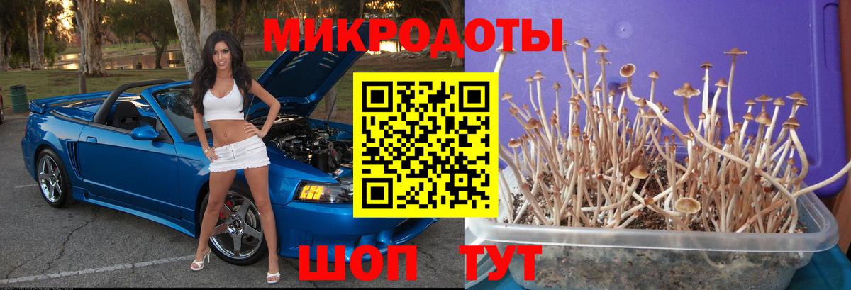 Галлюциногенные грибы Cubensis Михайловка